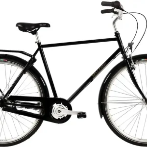 Handla nu Standard Herrcykel Raleigh Darlington Herr 7v