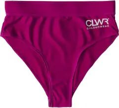ColourWear Women's High Waist Bikini Bottom Purple Fynd