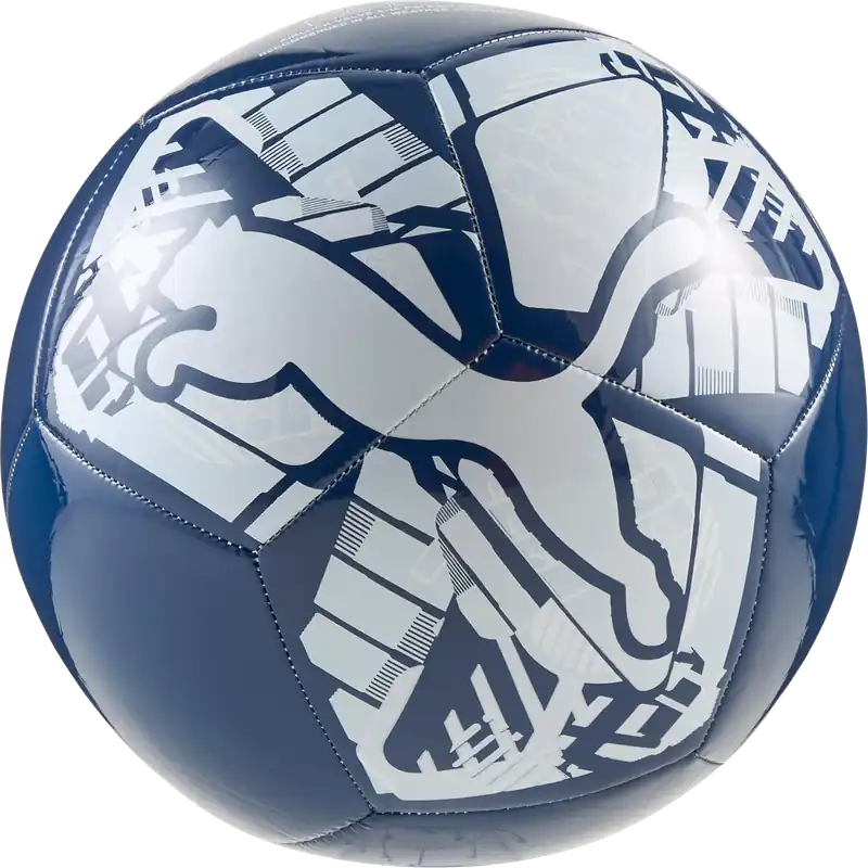 PUMA PUMA BIG CAT BALL Snabb leverans