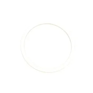 ZIPP Freehub Body Shim For Zipp 177 Rear Hub Kundfavorit