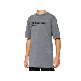 Nedsatt pris 100% Manifesto T-shirt Ungdom (grå) köpa billigt