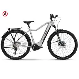 Green's Corwen F750 | E-Mountainbike | 29" | 750Wh Bosch CX | ljusgrå Snabb leverans